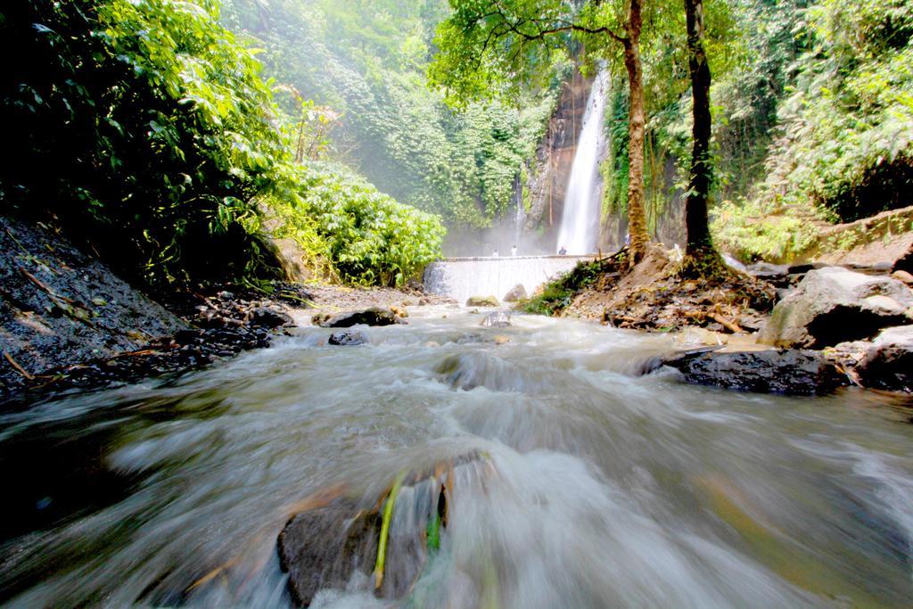 Bali Bening Hotel Munduk  Luaran gambar
