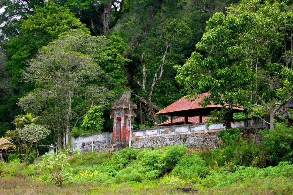 Bali Bening Hotel Munduk  Luaran gambar